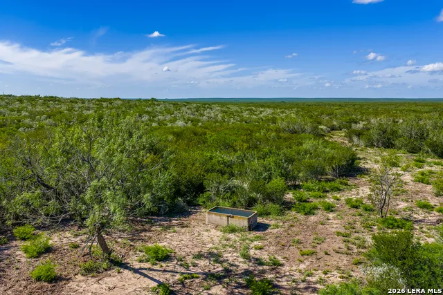 TBD State Highway 16 Freer, TX 78357