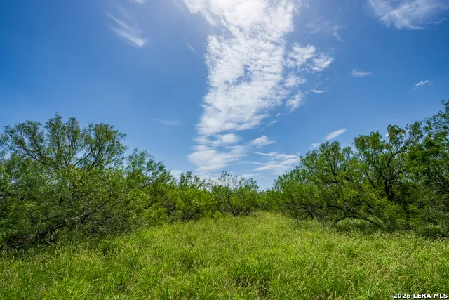 TBD State Highway 16 Freer, TX 78357