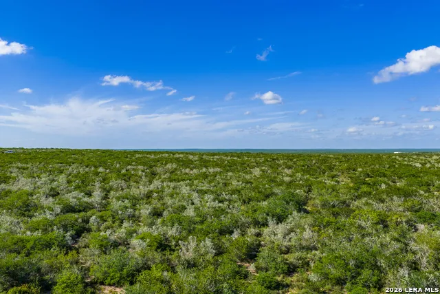 TBD State Highway 16 Freer, TX 78357