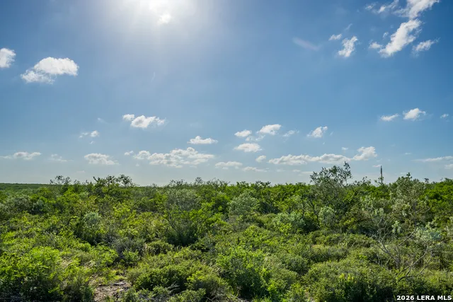 TBD State Highway 16 Freer, TX 78357