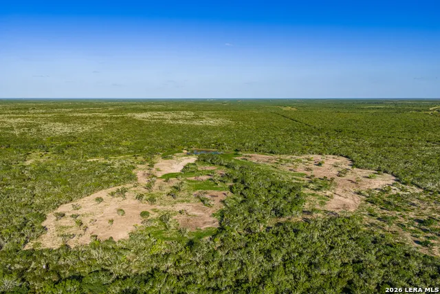 TBD State Highway 16 Freer, TX 78357