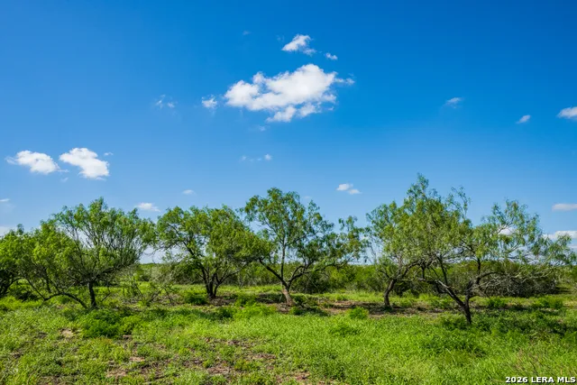 TBD State Highway 16 Freer, TX 78357