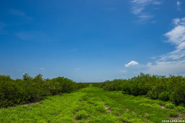 TBD State Highway 16 Freer, TX 78357