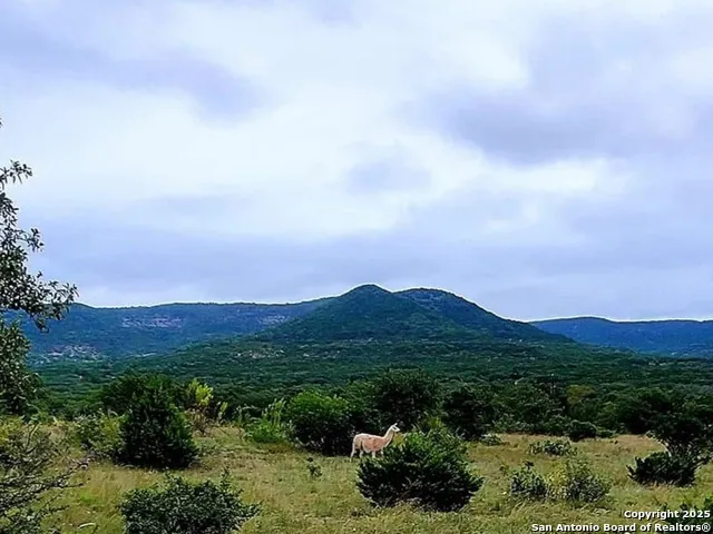 3049 Little Creek Rd Utopia, TX 78884