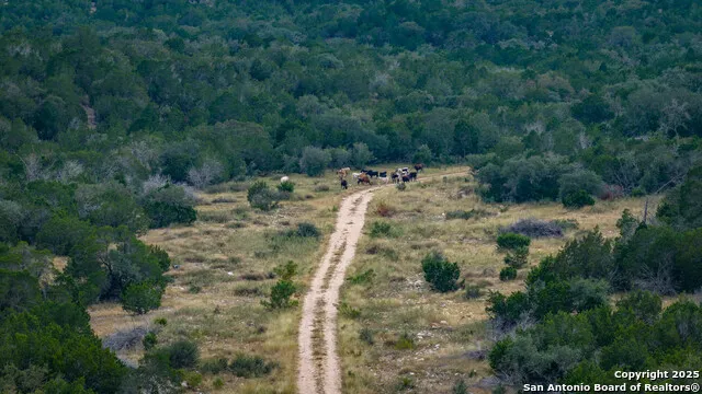 TBD RM 2523 Del Rio, TX 78880