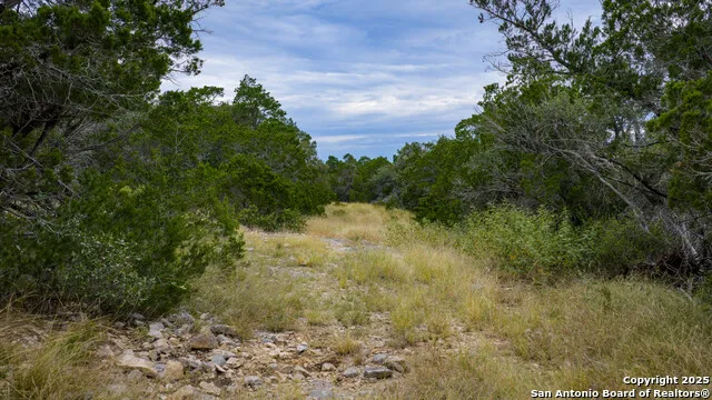 TBD RM 2523 Del Rio, TX 78880
