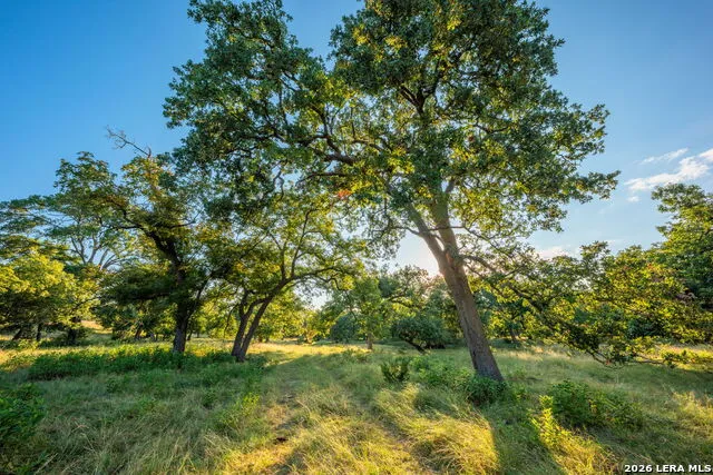 000 Pressler-Henke Rd Kerrville, TX 78028