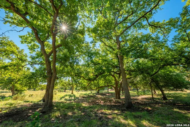 000 Pressler-Henke Rd Kerrville, TX 78028