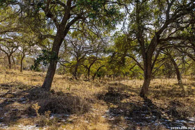 000 Pressler-Henke Rd Kerrville, TX 78028