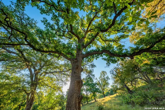 000 Pressler-Henke Rd Kerrville, TX 78028
