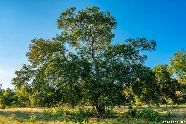 000 Pressler-Henke Rd Kerrville, TX 78028