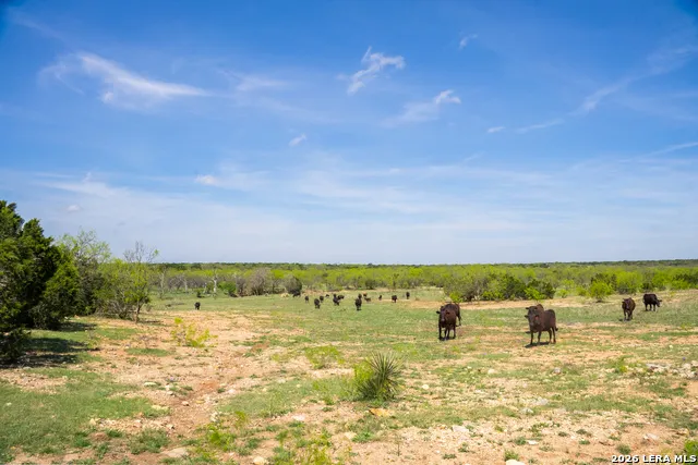 2250 Fm 1311 Brady, TX 76825