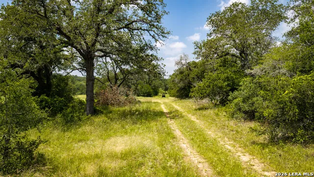 275 FM 1104 Kingsbury, TX 78638