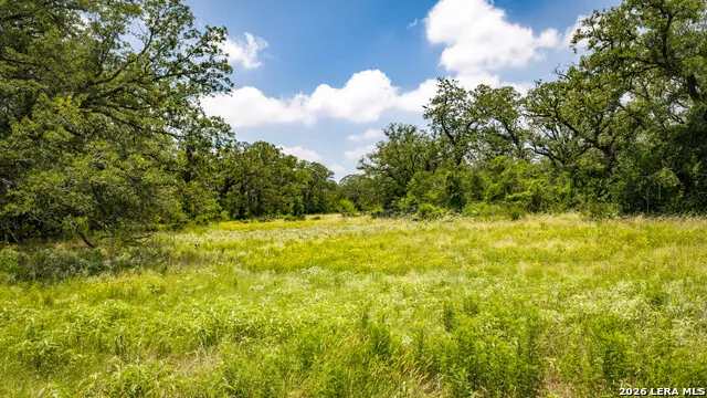 275 FM 1104 Kingsbury, TX 78638