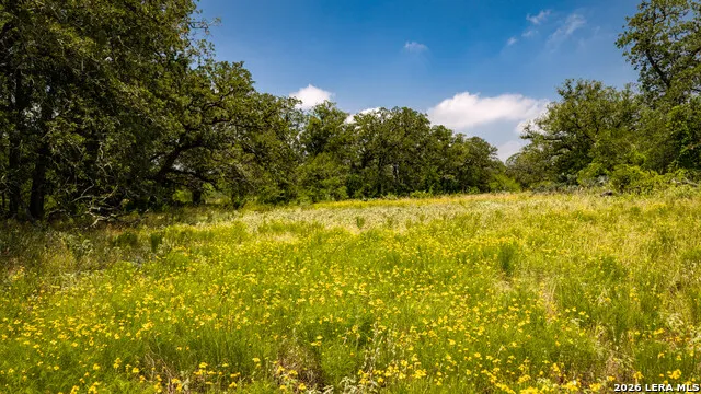 275 FM 1104 Kingsbury, TX 78638