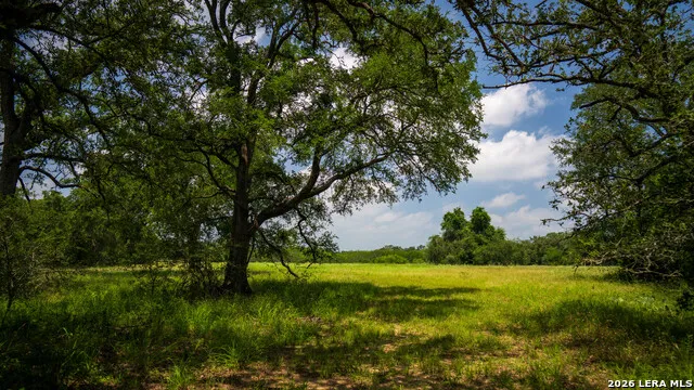 275 FM 1104 Kingsbury, TX 78638