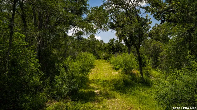 275 FM 1104 Kingsbury, TX 78638