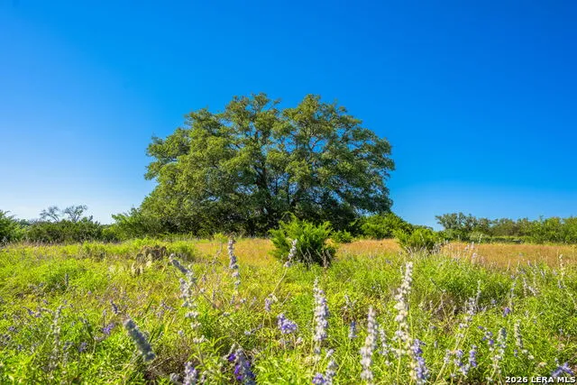 0A FM 2093 Fredericksburg, TX 78624