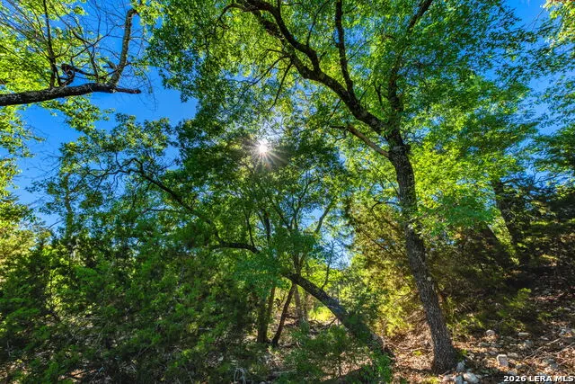 0A FM 2093 Fredericksburg, TX 78624