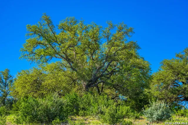 0A FM 2093 Fredericksburg, TX 78624
