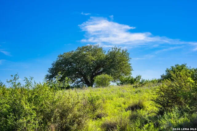 0A FM 2093 Fredericksburg, TX 78624