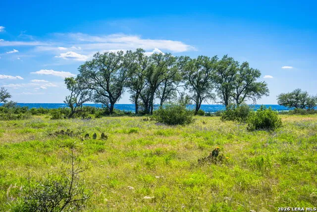 0A FM 2093 Fredericksburg, TX 78624