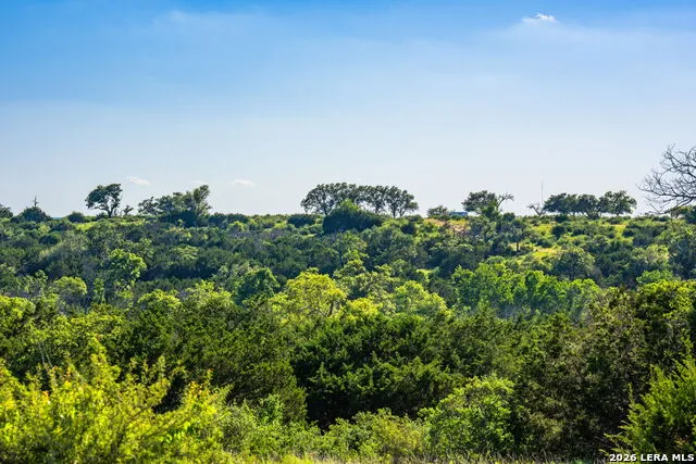 0A FM 2093 Fredericksburg, TX 78624