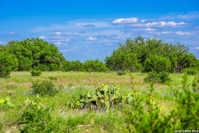 0A FM 2093 Fredericksburg, TX 78624