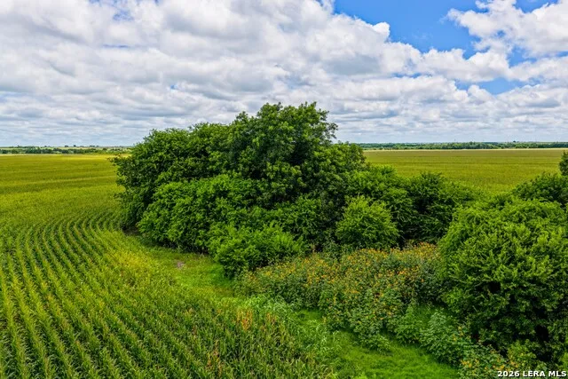 000 W COUNTY ROAD 301 Bartlett, TX 76511