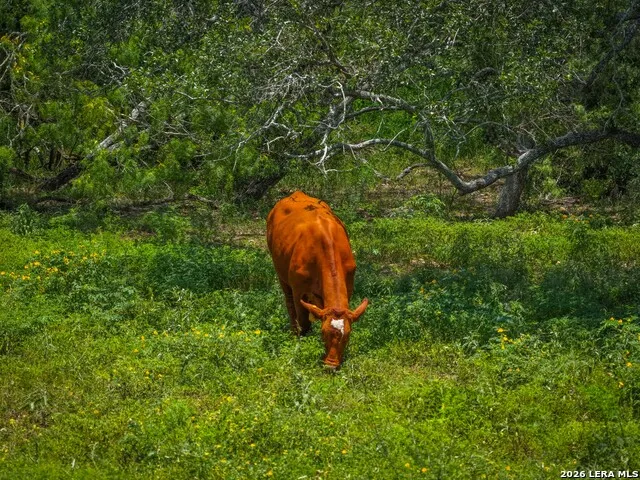 2249 LONG RD Lockhart, TX 78644