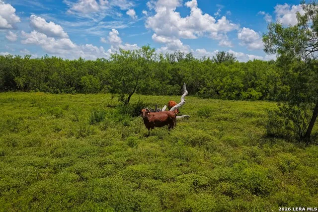 2249 LONG RD Lockhart, TX 78644