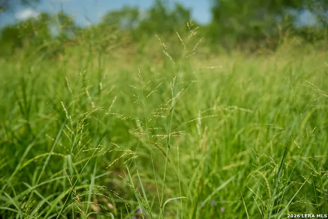 000 CR 241 Three Rivers, TX 78071
