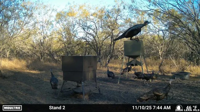 000 CR 241 Three Rivers, TX 78071