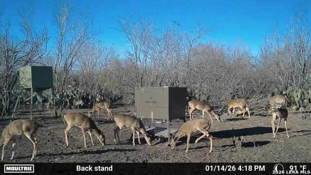 000 CR 241 Three Rivers, TX 78071
