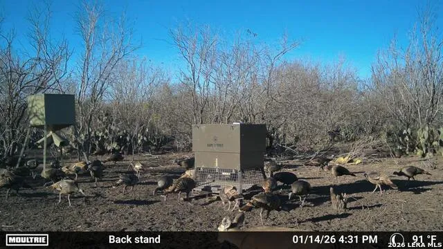 000 CR 241 Three Rivers, TX 78071