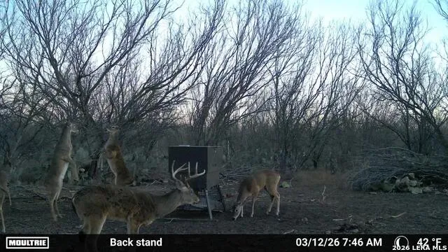 000 CR 241 Three Rivers, TX 78071