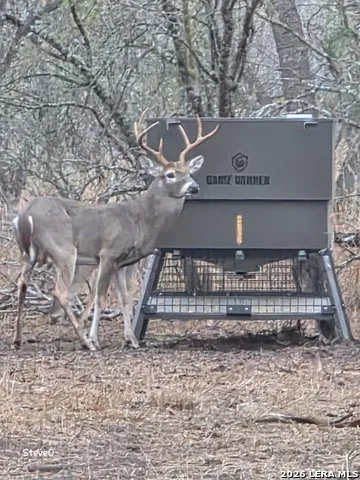 000 CR 241 Three Rivers, TX 78071