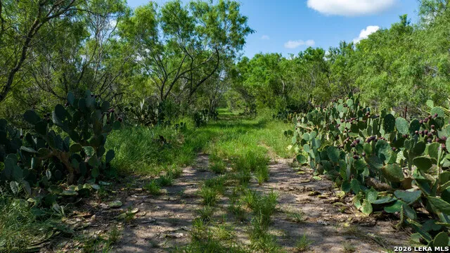 000 CR 241 Three Rivers, TX 78071