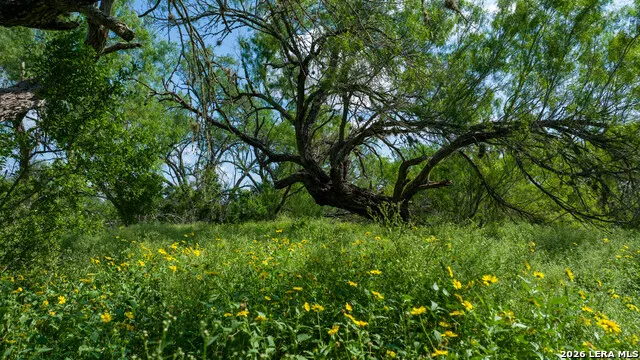 000 CR 241 Three Rivers, TX 78071