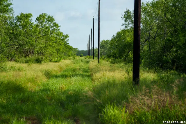 000 CR 241 Three Rivers, TX 78071