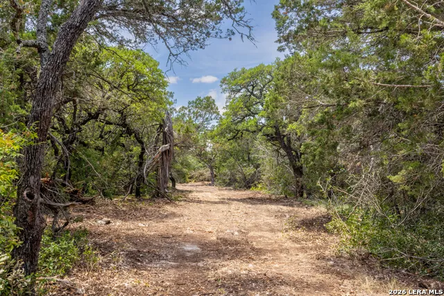 0 Cherry Creek Road Hunt, TX 78024