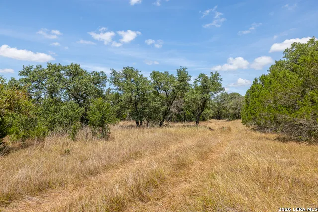 0 Cherry Creek Road Hunt, TX 78024