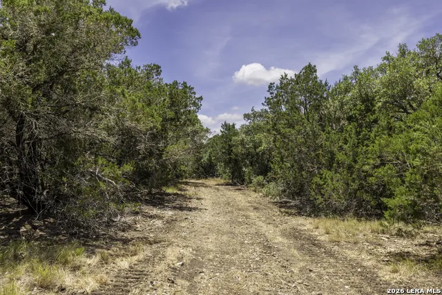 0 Cherry Creek Road Hunt, TX 78024