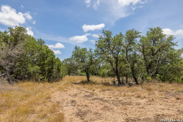 0 Cherry Creek Road Hunt, TX 78024