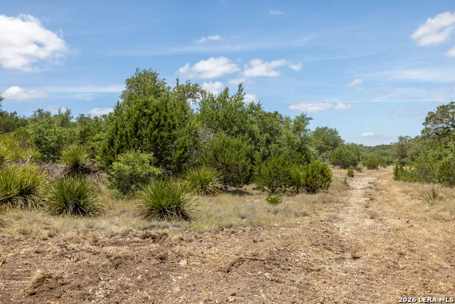 0 Cherry Creek Road Hunt, TX 78024