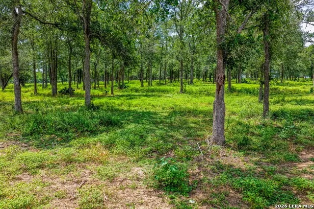 5501 Old Colony Line Rd Lockhart, TX 78644