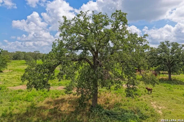 5501 Old Colony Line Rd Lockhart, TX 78644