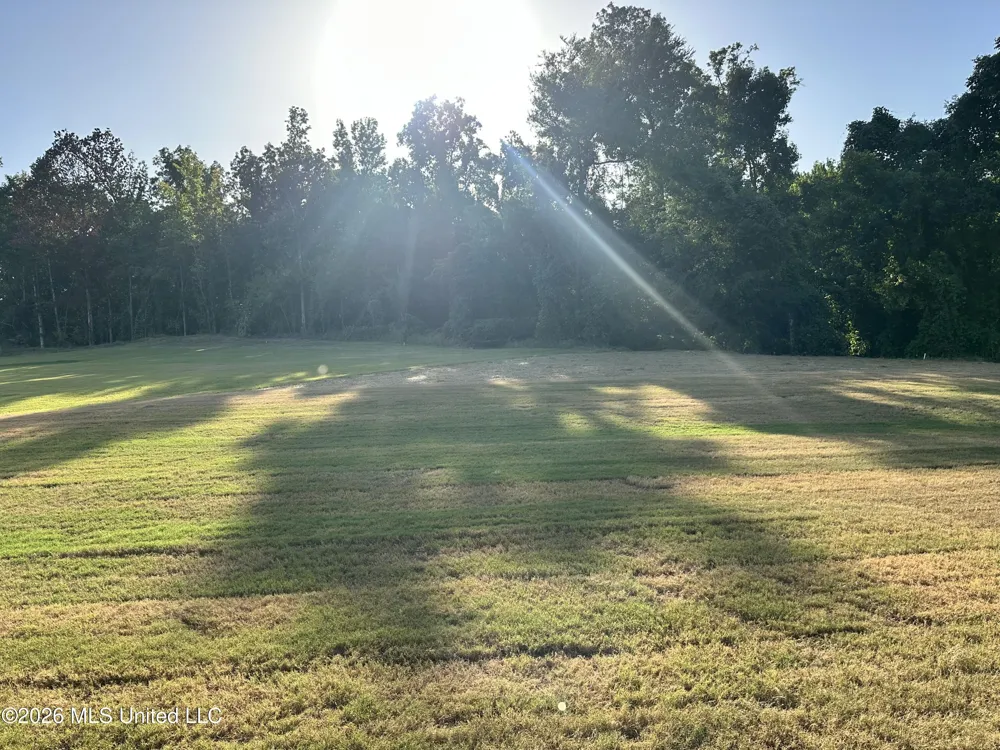 875 Hazelwood Drive Lake Cormorant, MS 38641
