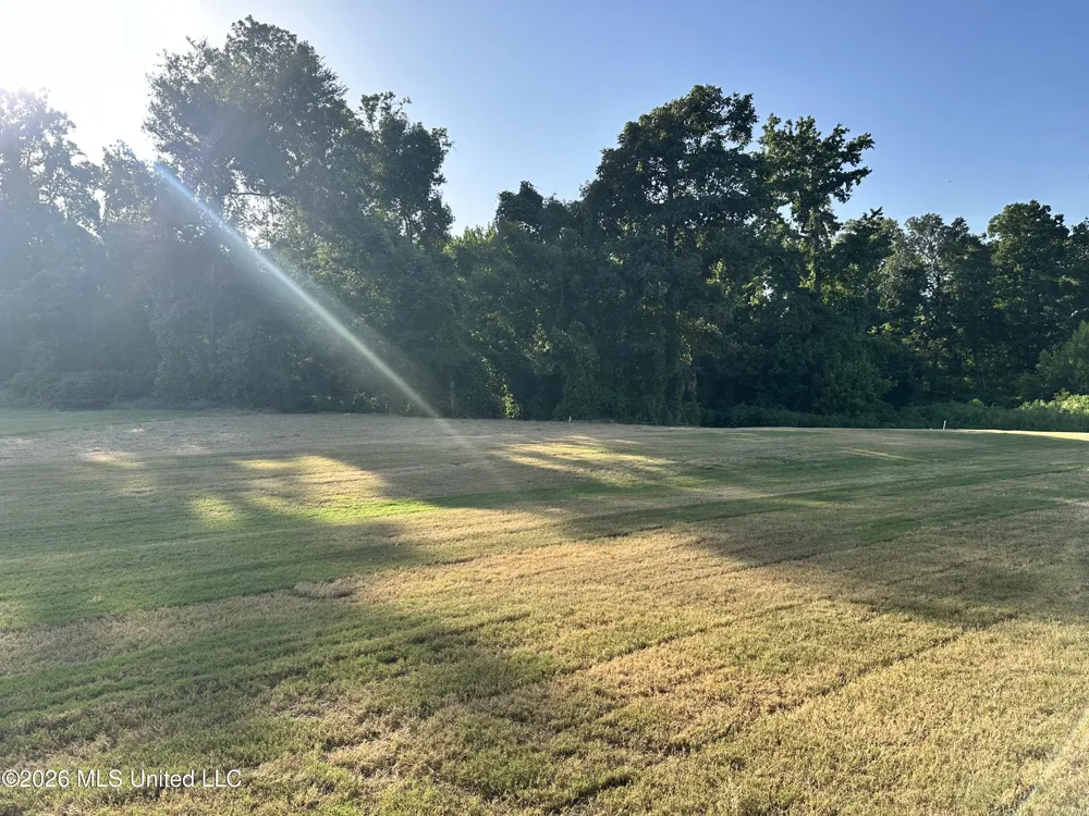 875 Hazelwood Drive Lake Cormorant, MS 38641
