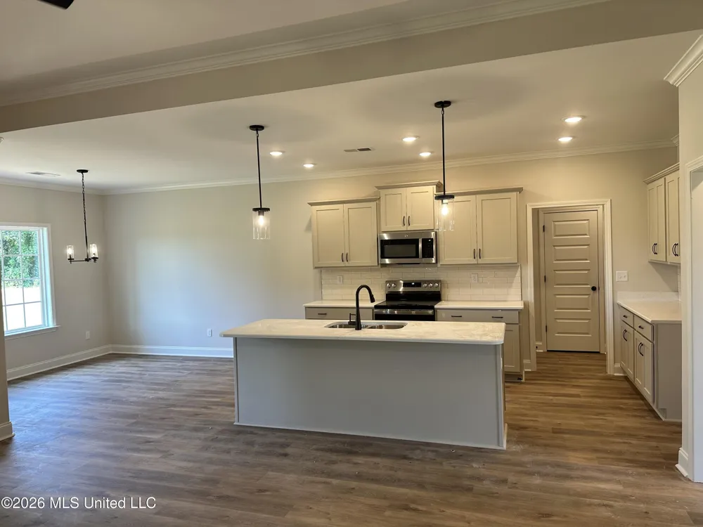 875 Hazelwood Drive Lake Cormorant, MS 38641